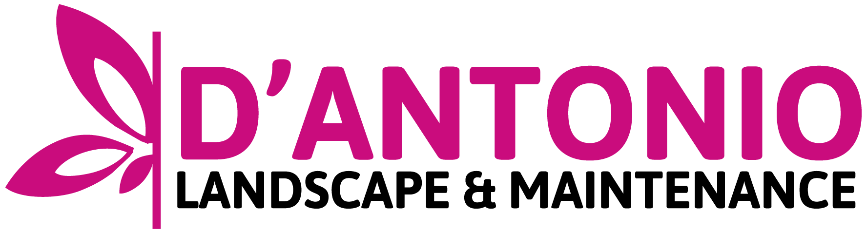 D'Antonio